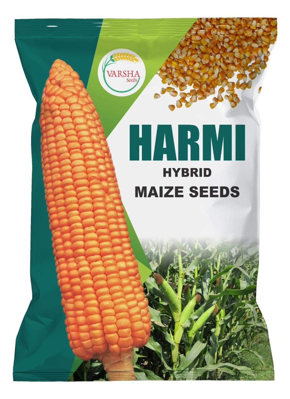 Harmi (Hybrid Maize Seeds)