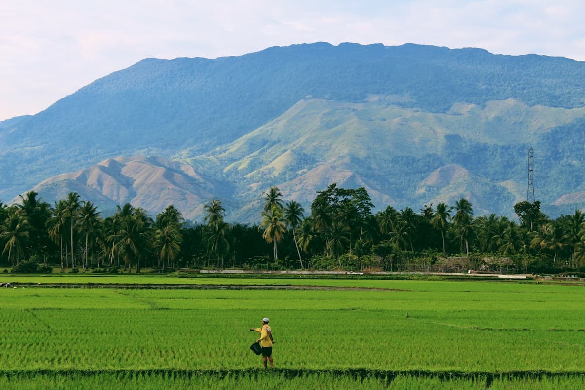 Farmer testimonial