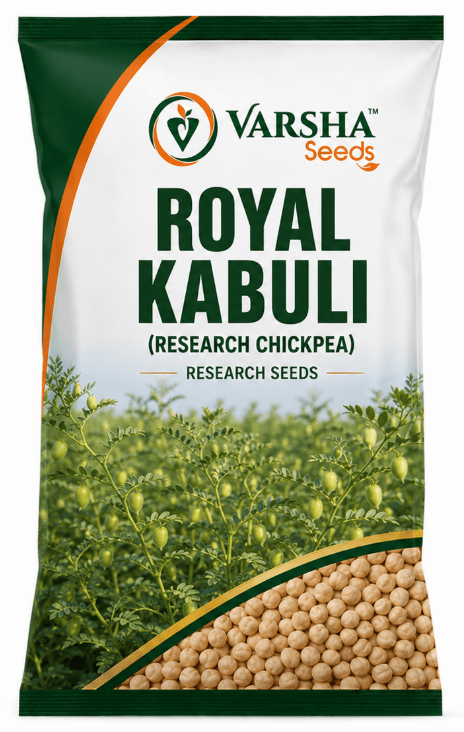 રોયલ કાબુલી (સંશોધિત ચણા)